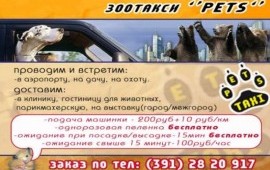 Перевозка домашних животных
