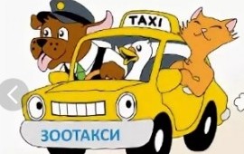 Перевозка животных