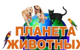 ЗооТакси "ТАКСА"