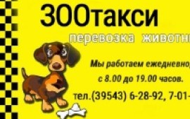 ЗООтакси