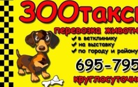 Перевозка животных