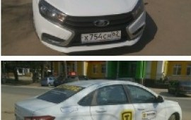 Зоотакси. Поможем Вам с доставкой питомца.