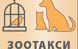 Перевозка домашних животных