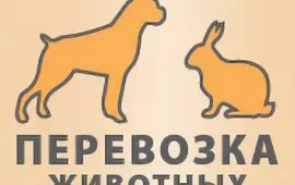 Зоотакси