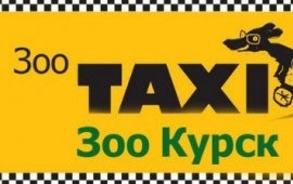 Зоотакси в Курске. Такси для животных.