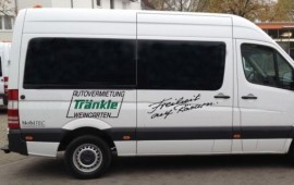 Грузопассажирские перевозки*грузовое такси