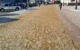 Пескосоляная смесь от 1 до 30 тонн. в Нижнем Новгороде