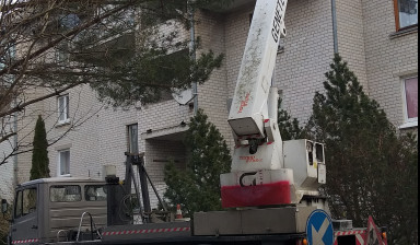 Аренда автовышки в Светлогорске