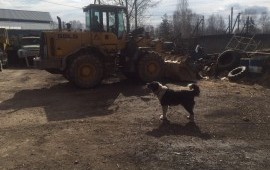 Фронтальный погрузчик