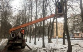 Спил, удаление и кронирование деревьев