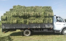 Домашние переезды, перевозка сборных грузов Газель