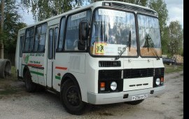 Пассажирские перевозки: дети, сотрудники, туристы.