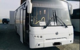 Автобус на заказ услуги пассажирские перевозки