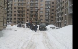Услуги манипулятора