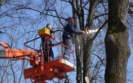 Уборка территорий техникой. Спил, выкорчевка