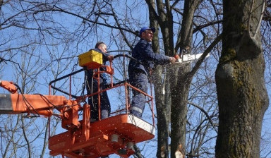 Уборка территорий техникой. Спил, выкорчевка