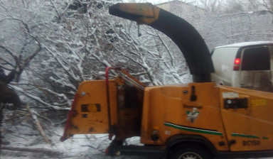 Дробилка веток аренда, услуги спецтехники.