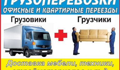 Грузчики. Вывоз мусора.