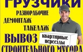 Грузчики. Вывоз мусора.