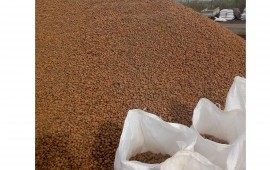Реализуем керамзит