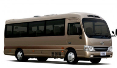 Аренда пассажирских автобусов, микроавтобусов в Багдарине