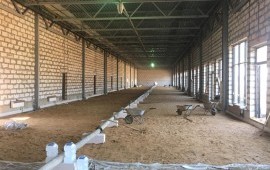 Аренда автобетононасоса, услуги, заказ спецтехники