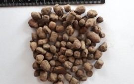 Продажа керамзита. ООО "Октябрьский керамзит"