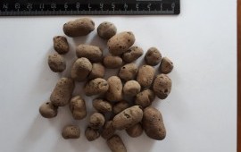 Продажа керамзита. ООО "Октябрьский керамзит"