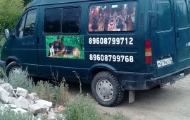 Перевозка домашних животных