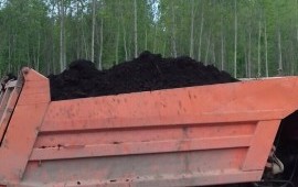 Торф, чернозём