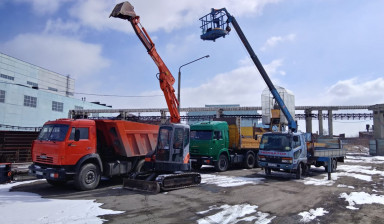 Услуги, аренда мини экскаватора