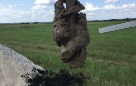 Японский ямобур