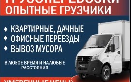 Грузоперевозки, Грузчики, Вывоз мусора, Переезды