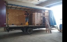 Грузоперевозки до 5 тонн