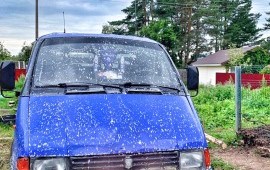 Грузоперевозки (наличка ) по РФ