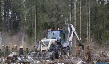 Услуги расчистки территории