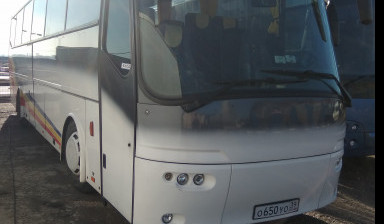 Аренда туристических автобусов 8,49,51,53 места