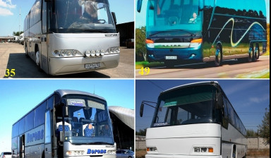 Аренда, Заказ автобуса на перевозки сотрудников. в Краснодаре