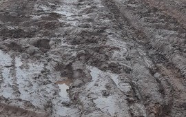 Лесовоз вездеход