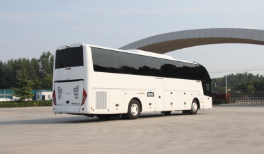 Пассажирские перевозки автобус, микроавтобус