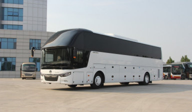 Пассажирские перевозки автобус, микроавтобус