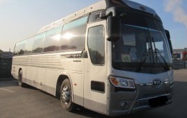 Пассажирские перевозки. Автобус, микроавтобус.