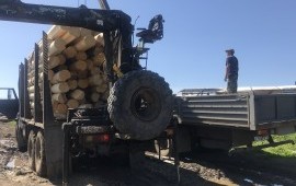 Услуги лесовоза сортиментовоза