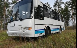 Пассажирские перевозки, автобус на заказ