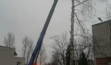 Услуги, аренда автовышки.