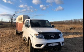 Перевозка лошадей и любых животных)))