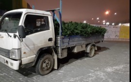 Перевозка грузов до 3т, до 6м