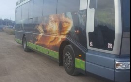 Заказ, аренда автобуса. Перевозка пассажиров.