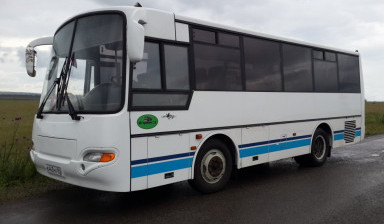 Автобусы любой вместимости услуги заказ