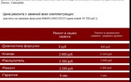 Ремонт и диагностику топливных форсунок
